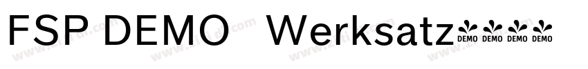 FSP DEMO   Werksatz字体转换